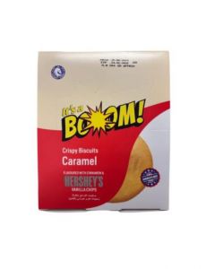 Hersheys Biscuit Cinnamon Doos 12 x 20 Gram