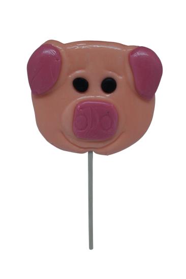 Biggetjes Lolly 45 Gram
