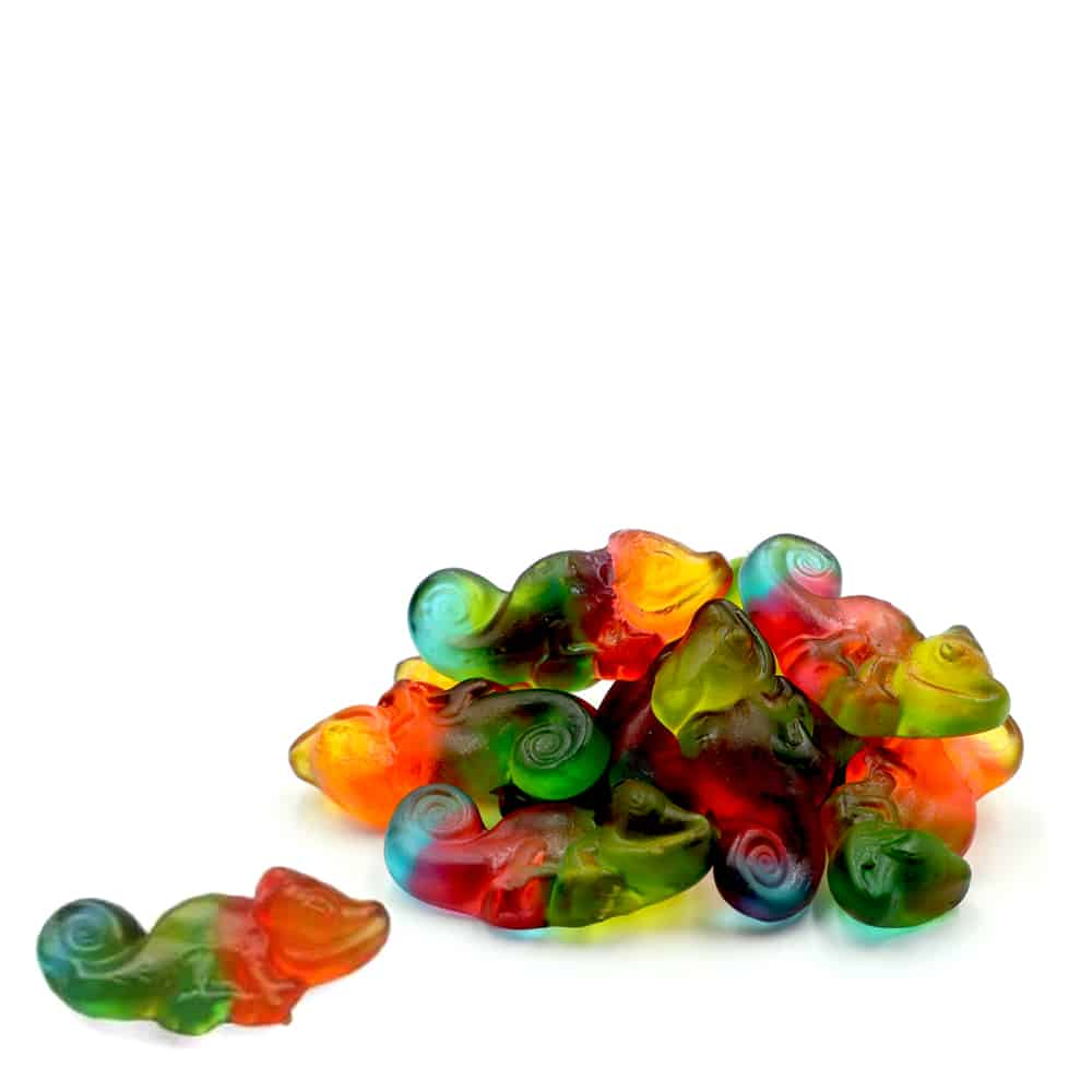 Haribo Cameleon 1kg